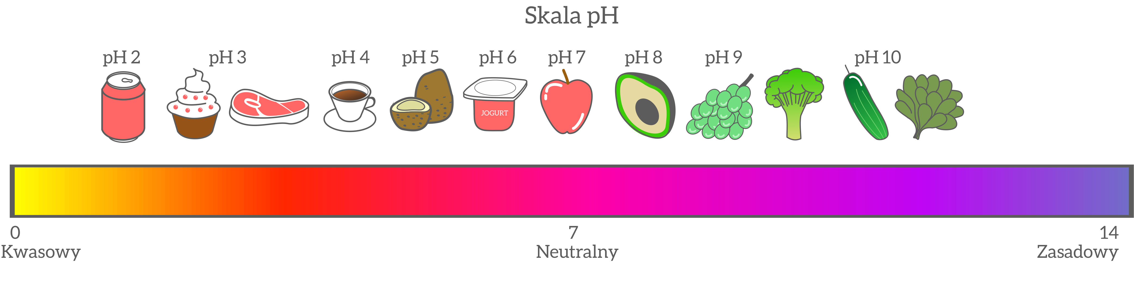 Na rysunku skali pH przedstawiono odczyn produktów spożywczych. Najbardziej kwaśny jest napój typu cola o pH równym 2. Mniej kwaśne są ciastka, mięso, kawa i jogurt. Neutralne pH ma jabłko. Ogórek i kalafior mają zasadowy odczyn bliski 10.